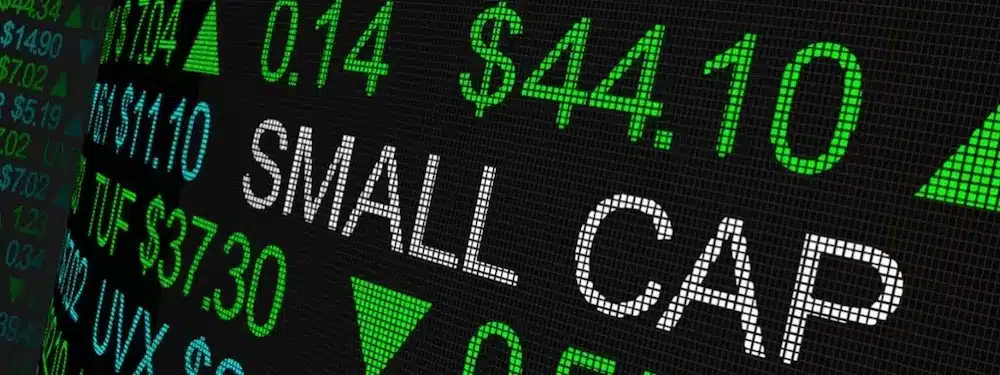 Logo de Small Caps